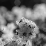 10 טרנדים בריאותיים שכדאי לעקוב אחריהם השנה